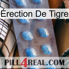 Érection De Tigre viagra3
